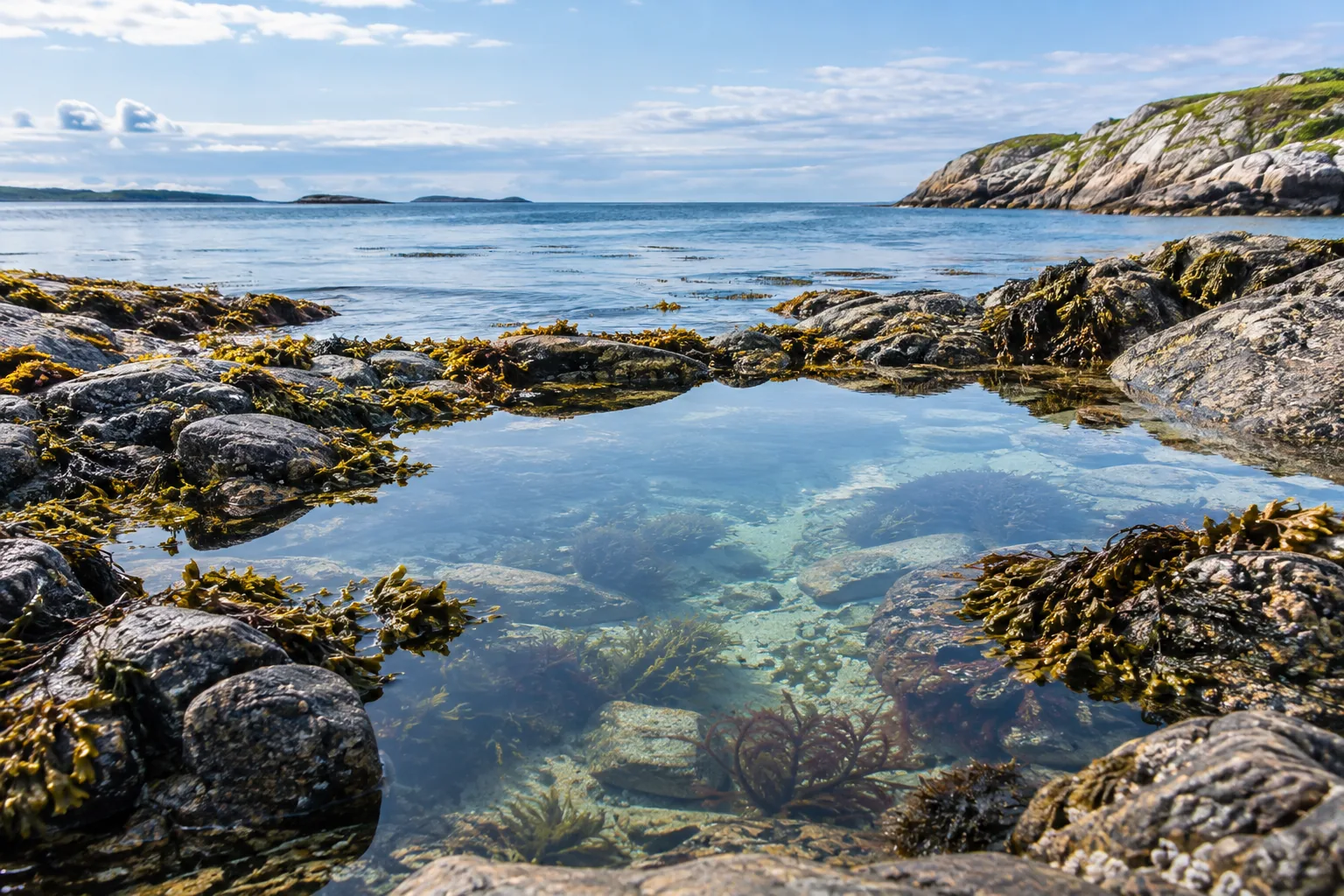 Rocky coastline and tide pools